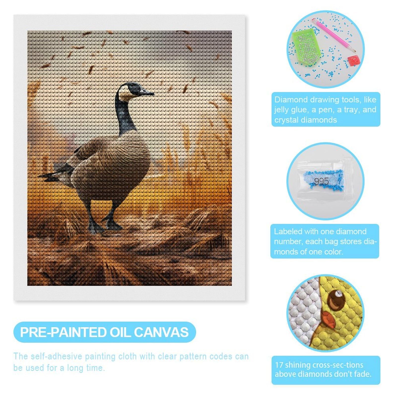 Amazon.com: Goose DIY Diamond Painting Kits for Adults
